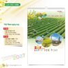Lịch Treo Tường 2027 HT Mẫu HT39 (40 x 60cm) Xưởng In Ép Kim Nhũ Vàng Tận Gốc in logo doanh nghiệp quà tặng Tết tại Xưởng Quà Tặng Quang Vũ