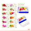 Lịch Để Bàn 2027 MT Mẫu MT49 (24 x 17cm) Xưởng In Ép Kim Nhũ Vàng Tận Gốc in logo doanh nghiệp quà tặng Tết tại Xưởng Quà Tặng Quang Vũ