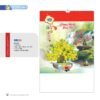 Lịch Treo Tường Lò Xo 2027 NB Mẫu NB253 (16 x 25 cm) Xưởng In Ép Kim Nhũ Vàng Tận Gốc in logo doanh nghiệp quà tặng Tết tại Xưởng Quà Tặng Quang Vũ